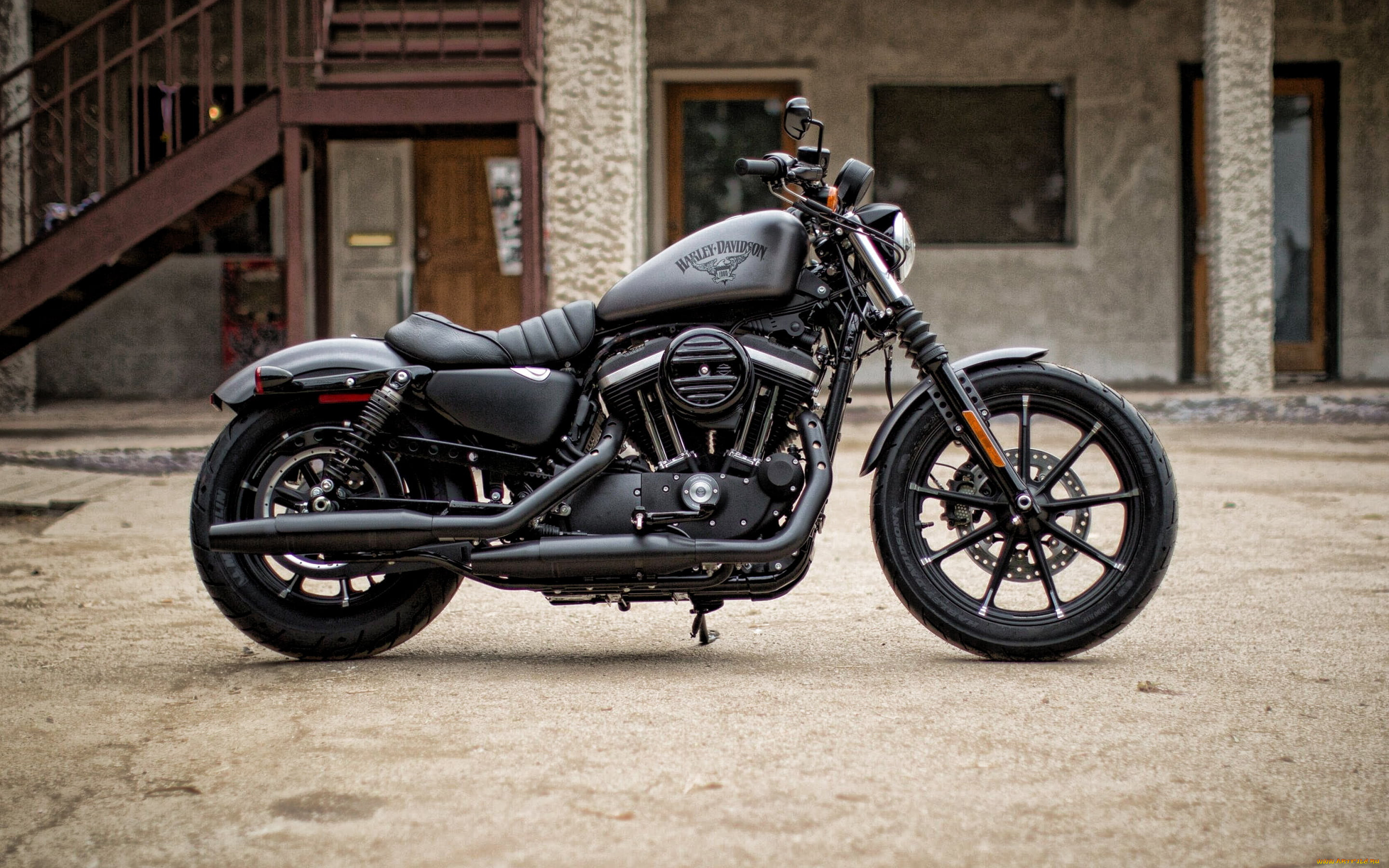 , harley-davidson, harley, davidson, iron, 883, 2019, , , , 